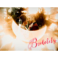 Bridelily US logo