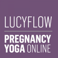LucyFlow.com logo
