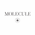 MoleculeHealth.com logo